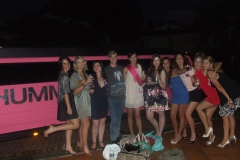 pink-hens